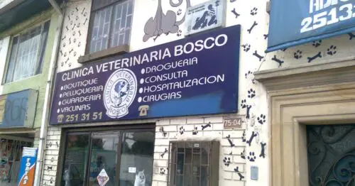 CLINICA VETERINARIA BOSCO TABORA CLINICA VETERINARIA BOSCO TABORA
